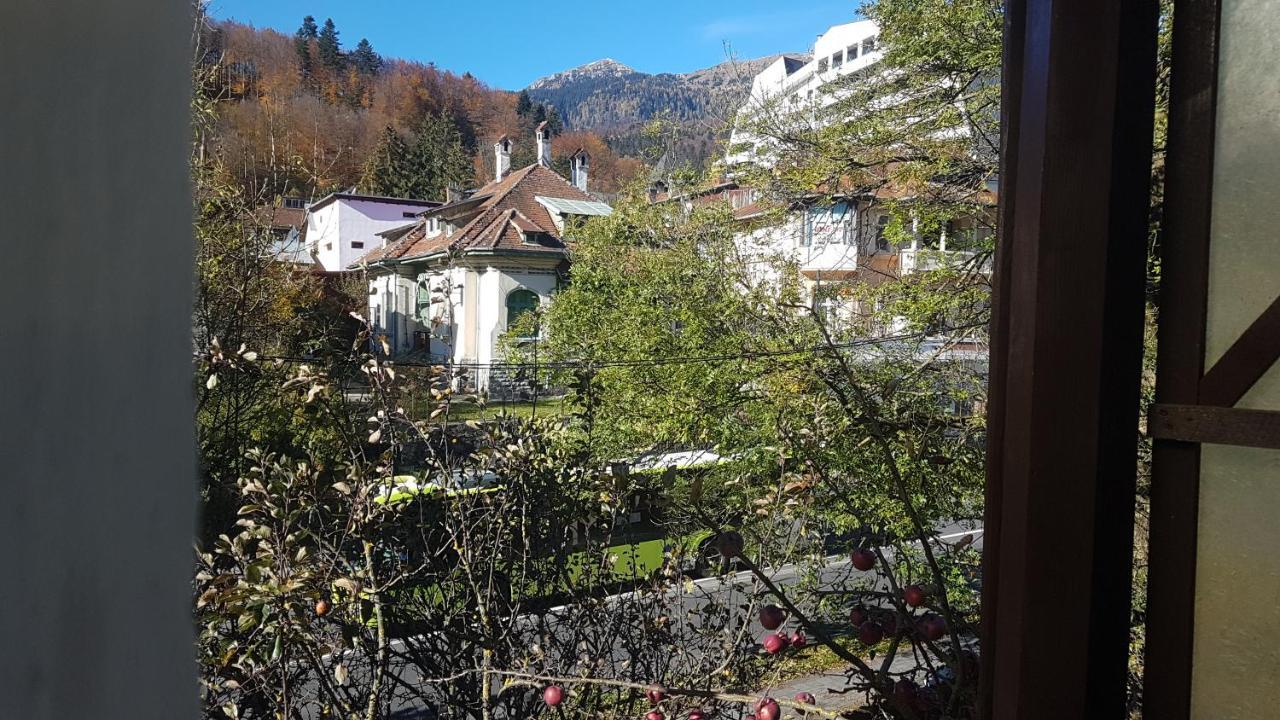 Pensiunea Casa Noastra Hotel Sinaia Buitenkant foto