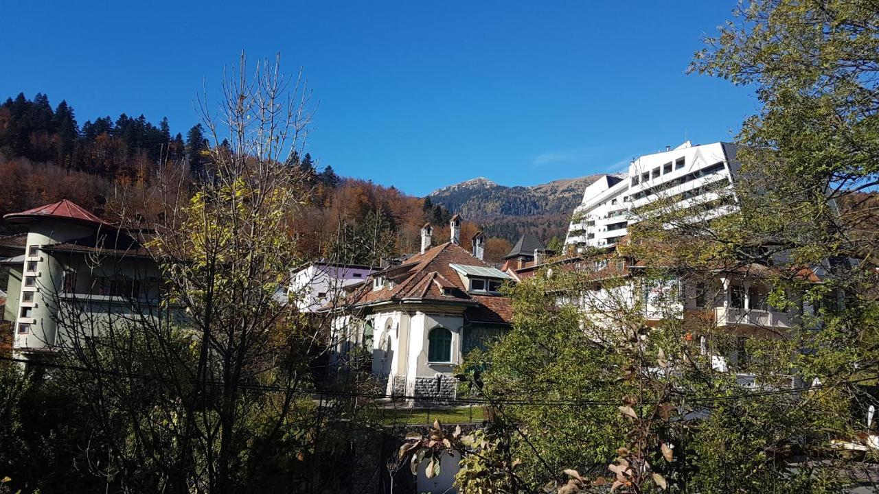 Pensiunea Casa Noastra Hotel Sinaia Buitenkant foto